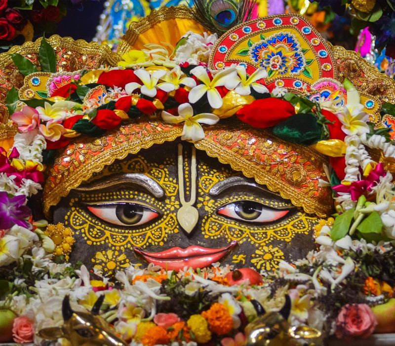 Govardhan Puja in Vrindavan