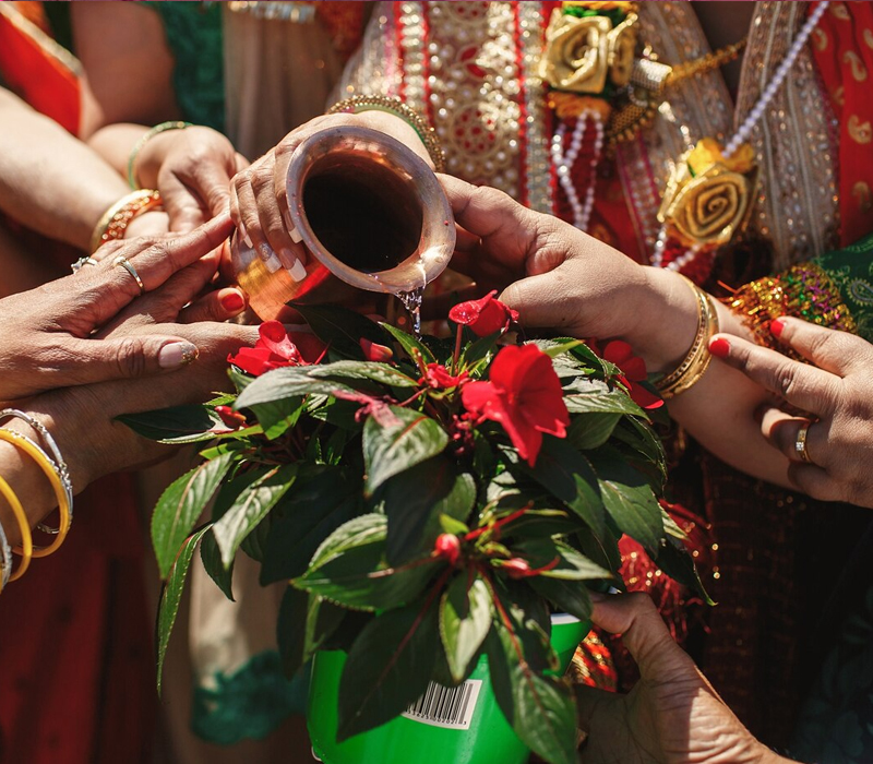 Hariyali Teej in Vrindavan